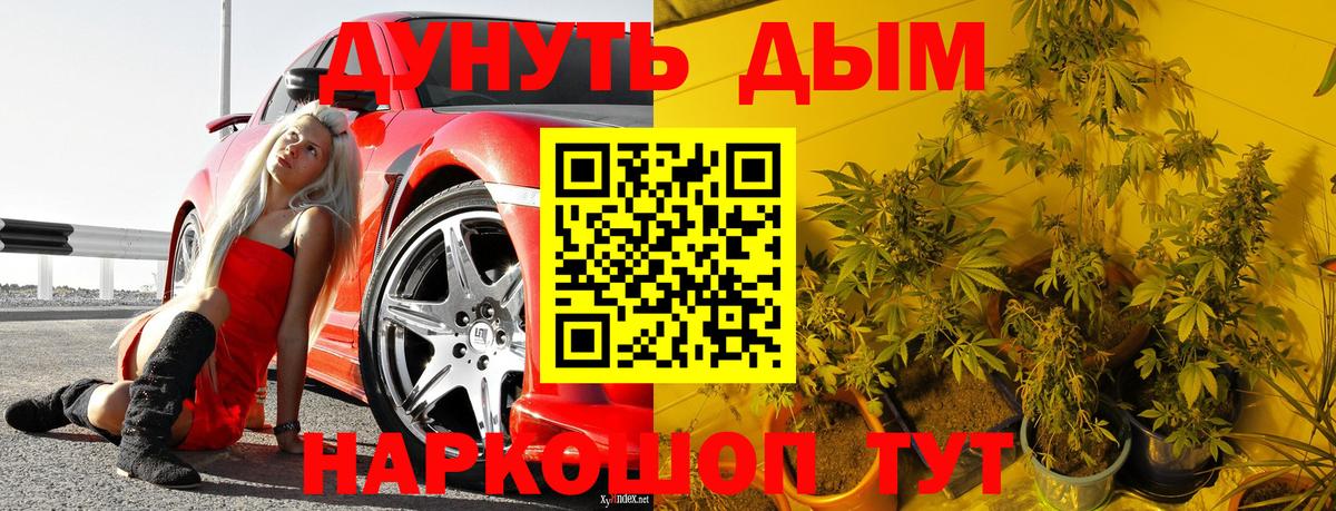 Шишки марихуана THC 21% Кинель